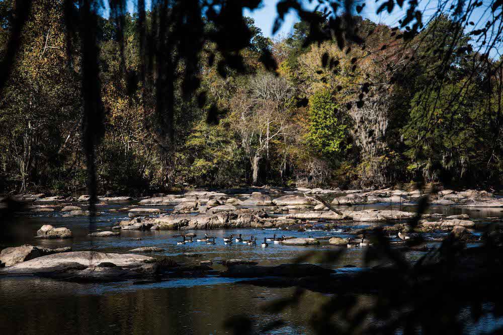 Saluda Riverwalk